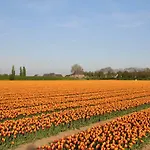 De Smidse